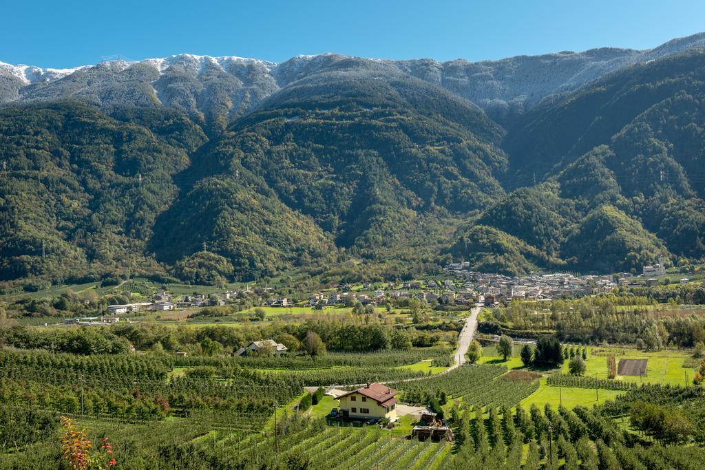 B&B Ca Tunin Tirano Cameră foto